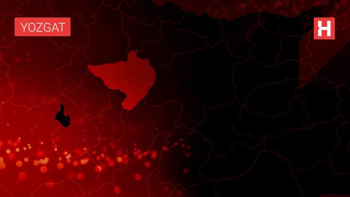 Yozgat'ta 'mor sarımsak' hasadı başladı