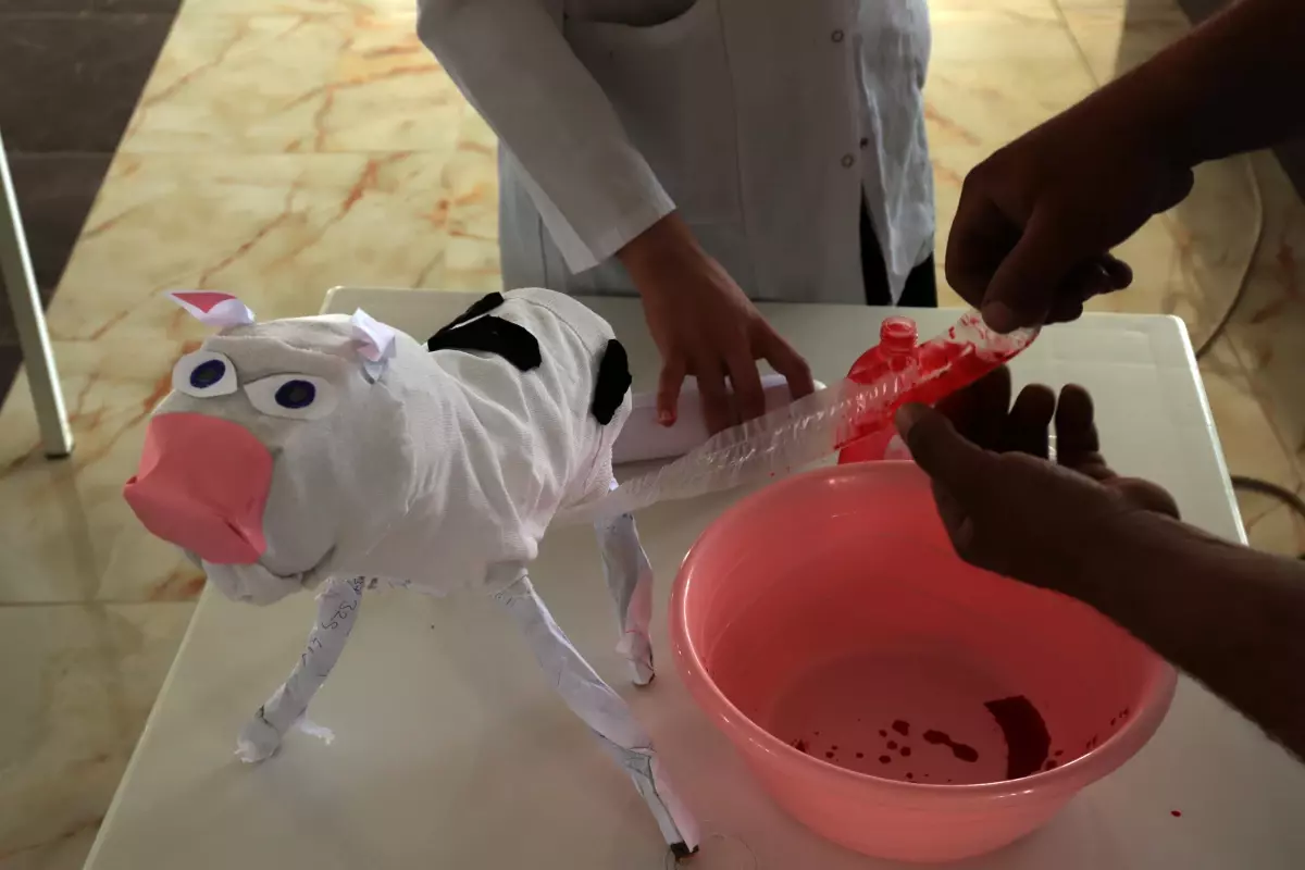 Altınözü'nde 'Sürü yönetimi elemanı' kursu düzenlendi