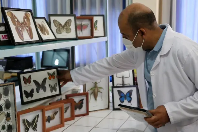 44 insect species, mostly hunter and agricultural useful, were discovered in Anatolia 44 insect species, mostly hunter and agricultural useful, were discovered in Anatolia