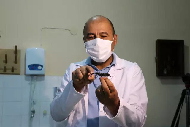 44 insect species, mostly hunter and agricultural useful, were discovered in Anatolia 44 insect species, mostly hunter and agricultural useful, were discovered in Anatolia