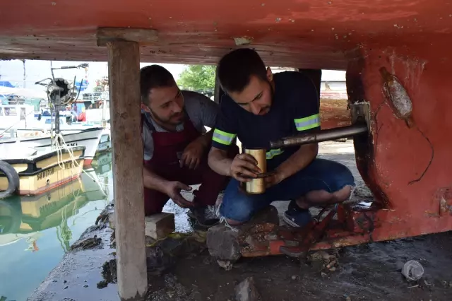 Batı Karadeniz'de kıyı balıkçılığı başladı Batı Karadeniz'de kıyı balıkçılığı başladı