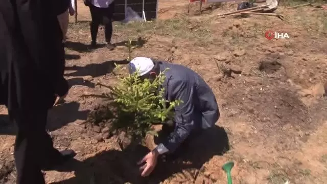 Beykoz'da bebeklere özel 'Hoş geldin bebek ormanı' kuruldu Beykoz'da bebeklere özel 'Hoş geldin bebek ormanı' kuruldu