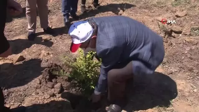 Beykoz'da bebeklere özel 'Hoş geldin bebek ormanı' kuruldu Beykoz'da bebeklere özel 'Hoş geldin bebek ormanı' kuruldu