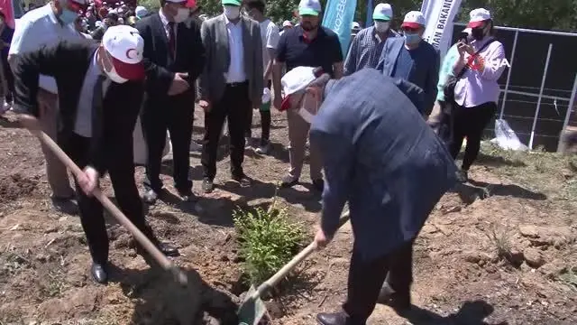 Beykoz'da bebeklere özel 'Hoş geldin bebek ormanı' kuruldu Beykoz'da bebeklere özel 'Hoş geldin bebek ormanı' kuruldu