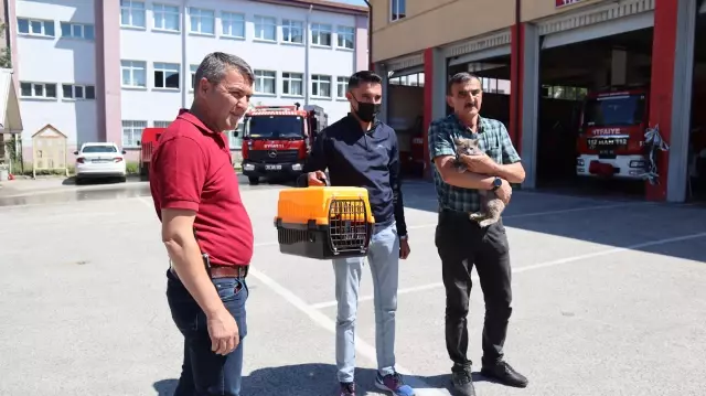 Son dakika haberi: Sattıkları aracın motor bölümüne giren kedi yavrusunu Düzce'de teslim aldılar Son dakika haberi: Sattıkları aracın motor bölümüne giren kedi yavrusunu Düzce'de teslim aldılar