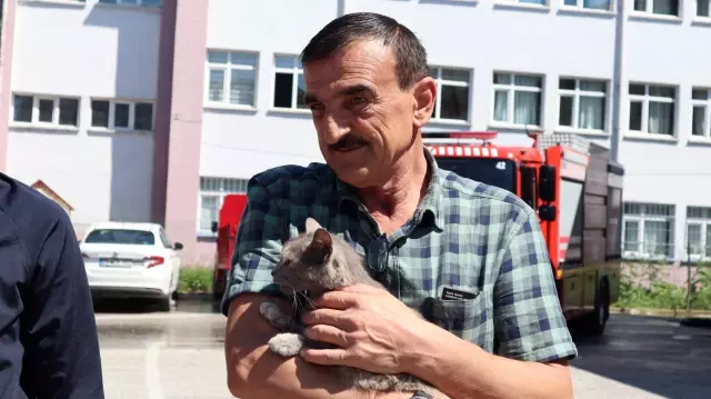 Son dakika haberi: Sattıkları aracın motor bölümüne giren kedi yavrusunu Düzce'de teslim aldılar Son dakika haberi: Sattıkları aracın motor bölümüne giren kedi yavrusunu Düzce'de teslim aldılar