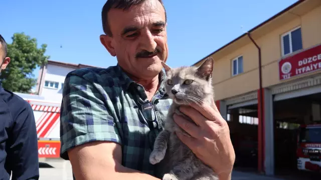 Son dakika haberi: Sattıkları aracın motor bölümüne giren kedi yavrusunu Düzce'de teslim aldılar Son dakika haberi: Sattıkları aracın motor bölümüne giren kedi yavrusunu Düzce'de teslim aldılar