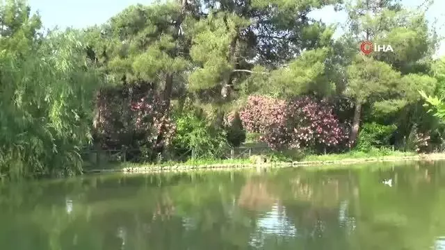Botanik Bahçe 300 bitkiye ev sahipliği yapıyor Botanik Bahçe 300 bitkiye ev sahipliği yapıyor