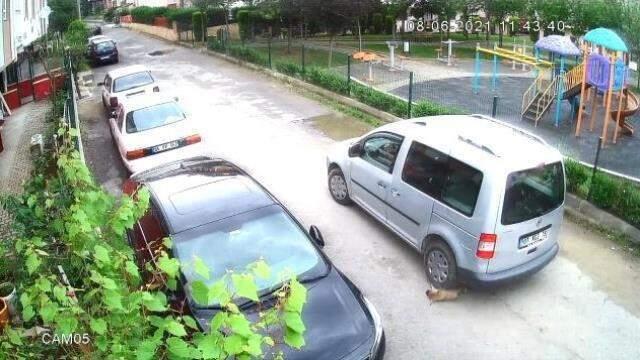 Bu nasıl vicdansızlık! Yolda oynayan yavru köpeği ezip yoluna devam etti