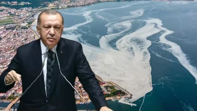 Cumhurbaşkanı Erdoğan'dan akademisyenlerle müsilaj toplantısı! Sonuç bildirgesinde dikkat çeken tavsiyeler Cumhurbaşkanı Erdoğan'dan akademisyenlerle müsilaj toplantısı! Sonuç bildirgesinde dikkat çeken tavsiyeler