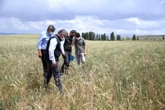 İl Tarım ve Orman Müdürü Şahin, Tomarza'da hasar tespit çalışmalarına katıldı İl Tarım ve Orman Müdürü Şahin, Tomarza'da hasar tespit çalışmalarına katıldı