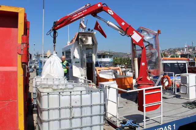 izmit korfezi nde musilaj kismen temizlendi 12 14191659 o