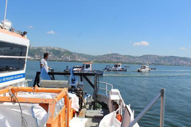 izmit korfezi nde musilaj kismen temizlendi 4 14191659 o
