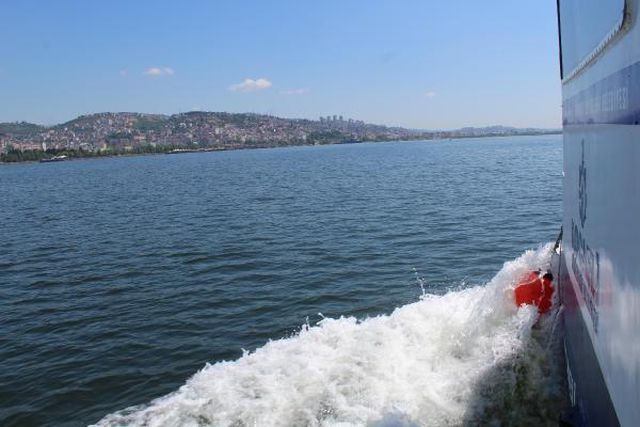izmit korfezi nde musilaj kismen temizlendi 8 14191659 o