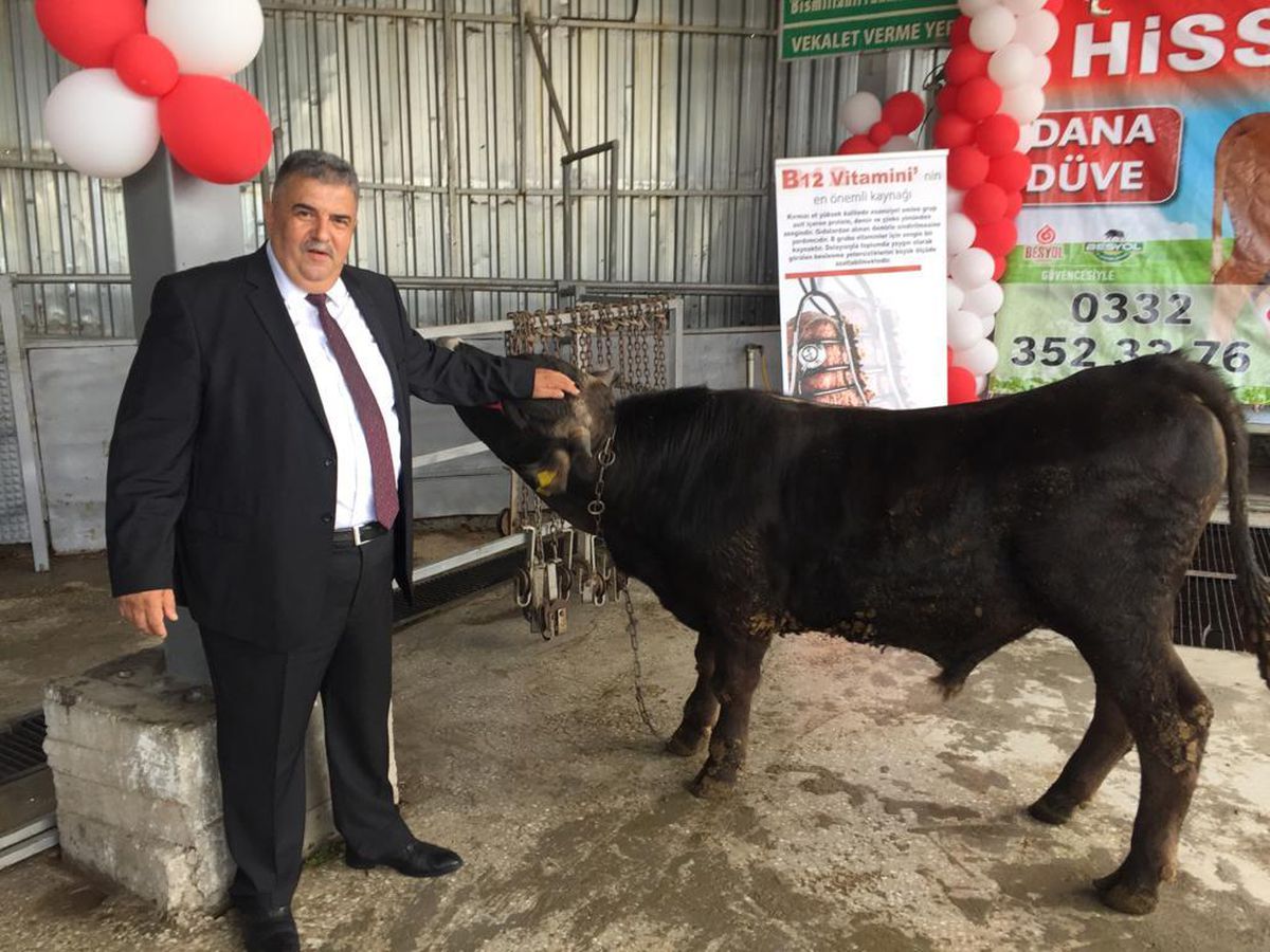 Konya'da kurbanlık hayvanların canlı kilogram fiyatları belirlendi