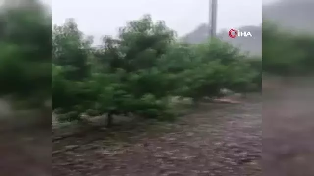 Mersin'de dolu sebze ve meyveyi vurdu Mersin'de dolu sebze ve meyveyi vurdu