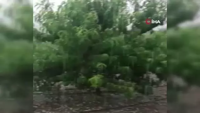 Mersin'de dolu sebze ve meyveyi vurdu Mersin'de dolu sebze ve meyveyi vurdu