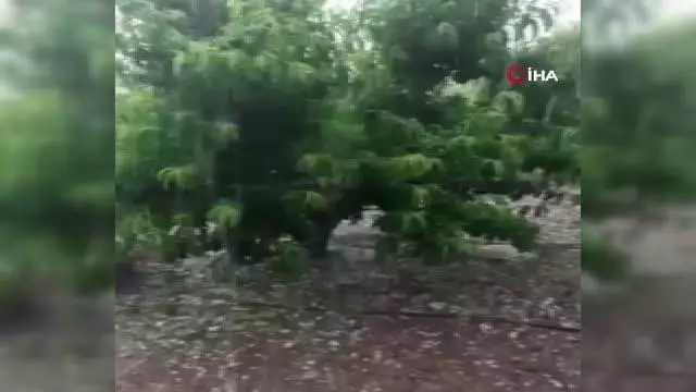Mersin'de dolu sebze ve meyveyi vurdu Mersin'de dolu sebze ve meyveyi vurdu