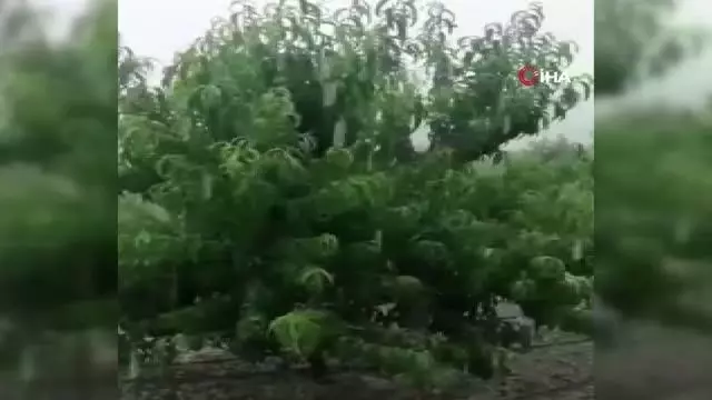 Mersin'de dolu sebze ve meyveyi vurdu Mersin'de dolu sebze ve meyveyi vurdu