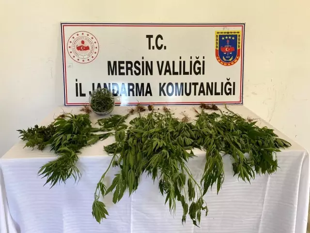 Son dakika... Mersin'de uyuşturucu operasyonu: 8 gözaltı Son dakika... Mersin'de uyuşturucu operasyonu: 8 gözaltı