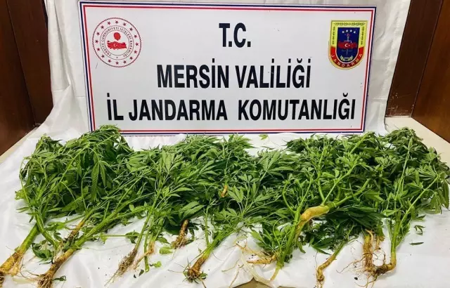 Son dakika... Mersin'de uyuşturucu operasyonunda 8 şüpheli yakalandı Son dakika... Mersin'de uyuşturucu operasyonunda 8 şüpheli yakalandı