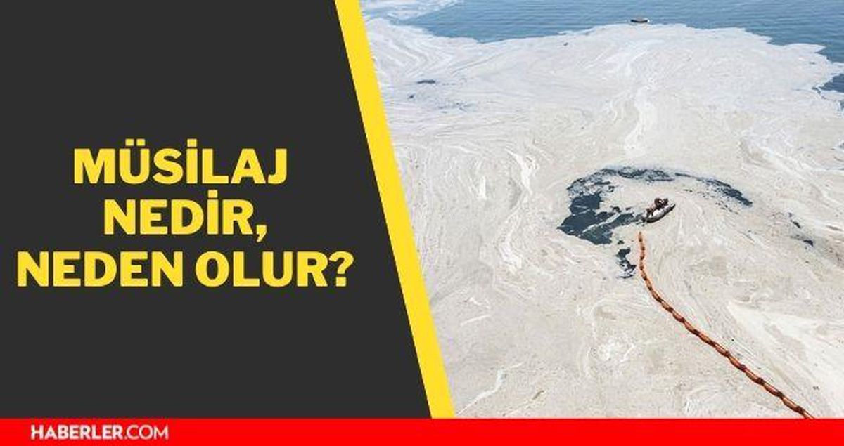 Müsilaj nedir? Müsilaj neden olur? Müsilaj nasıl temizlenir? Zararları nedir?