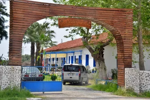 İBB'nin kayıp atlarının faturası Dörtyol Belediyesi Veteriner İşleri Müdürü'ne kesilecek! Memurluktan ihracı isteniyor İBB'nin kayıp atlarının faturası Dörtyol Belediyesi Veteriner İşleri Müdürü'ne kesilecek! Memurluktan ihracı isteniyor