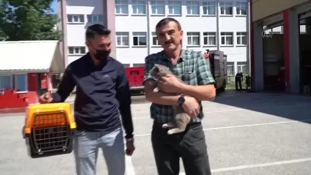 Son dakika haberi: Sattıkları aracın motor bölümüne giren kedi yavrusunu Düzce'de teslim aldılar Son dakika haberi: Sattıkları aracın motor bölümüne giren kedi yavrusunu Düzce'de teslim aldılar