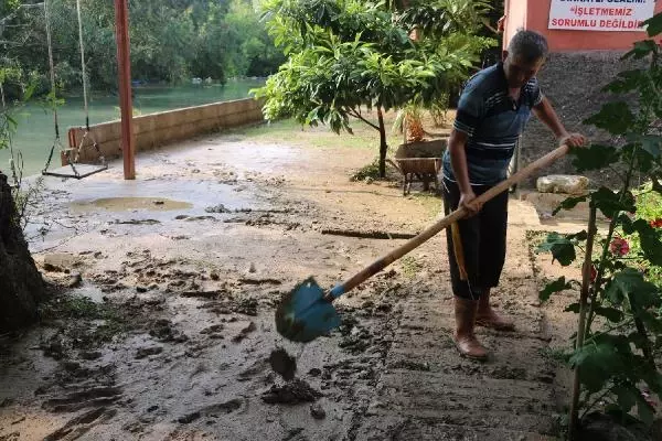 Sel sularıyla tarlalara sürüklenen balıkları topladılar (2)