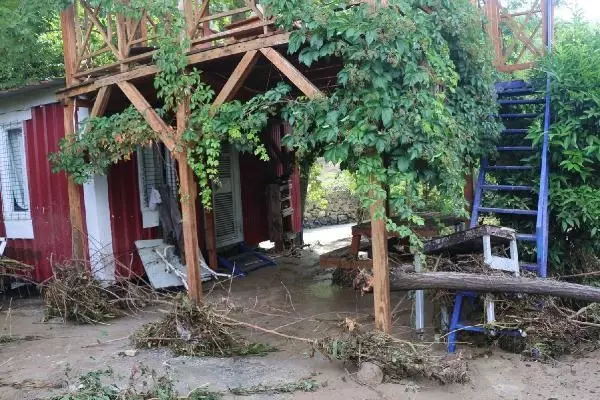 Sel sularıyla tarlalara sürüklenen balıkları topladılar (2)