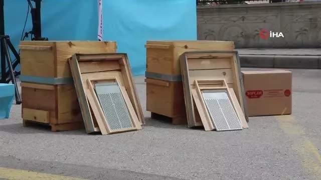 Tozanlı Vadisi bal üretiminde cazibe merkezi olacak Tozanlı Vadisi bal üretiminde cazibe merkezi olacak