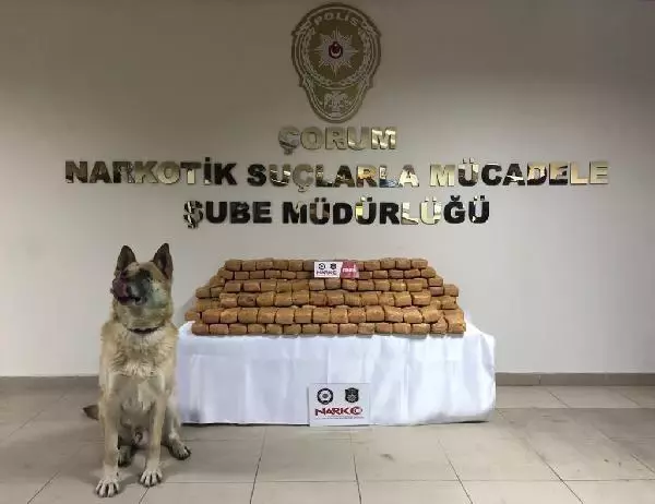 ÇORUM'DA UYUŞTURUCU TİCARETİNDE 3 SANIĞA 90 YIL HAPİS ÇORUM'DA UYUŞTURUCU TİCARETİNDE 3 SANIĞA 90 YIL HAPİS