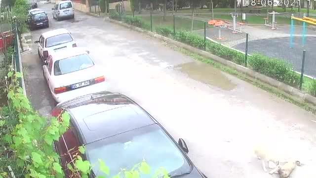 yolda oynayan yavru kopegi ezip yoluna devam 3 14191830 o