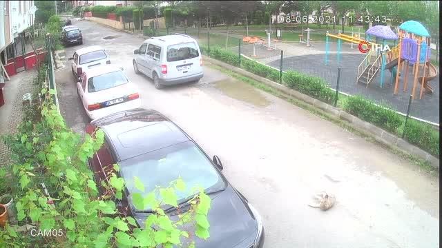 yolda oynayan yavru kopegi ezip yoluna devam 4 14190976 o