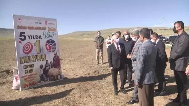 16 besiciye 1600 küçükbaş hayvan desteği sağlandı 16 besiciye 1600 küçükbaş hayvan desteği sağlandı
