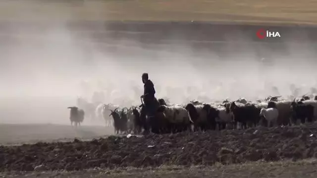 30 koyunla başladı, devlet desteğiyle çiftlik kurdu 30 koyunla başladı, devlet desteğiyle çiftlik kurdu