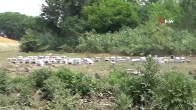 400 kovan arısı sele kapıldı, zararı 1 milyon lira 400 kovan arısı sele kapıldı, zararı 1 milyon lira