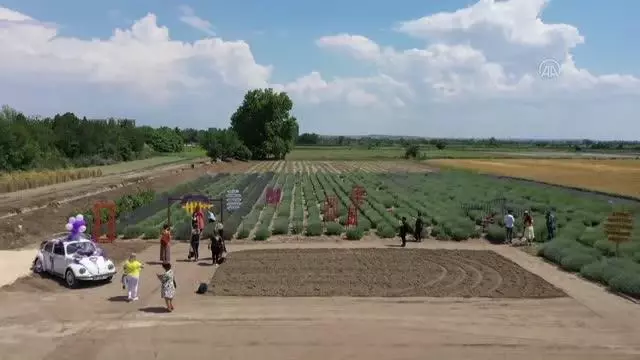 5 gün sürecek 'lavanta' kokulu tarla günleri etkinlikleri başladı (2) 5 gün sürecek 'lavanta' kokulu tarla günleri etkinlikleri başladı (2)