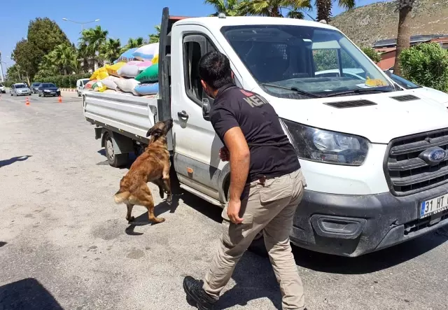 Antakya'da 32 ekiple asayiş denetimi Antakya'da 32 ekiple asayiş denetimi