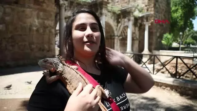ANTALYA İGUANASIYLA ŞEHRİ TURLADI ANTALYA İGUANASIYLA ŞEHRİ TURLADI