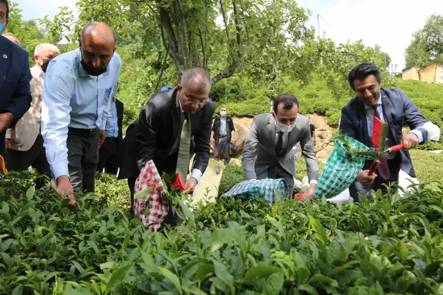 Artvin Valisi Doruk, Borçka'da ziyaretlerde bulundu Artvin Valisi Doruk, Borçka'da ziyaretlerde bulundu