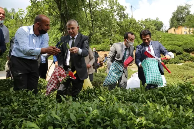 Artvin Valisi Doruk, Borçka'da ziyaretlerde bulundu Artvin Valisi Doruk, Borçka'da ziyaretlerde bulundu