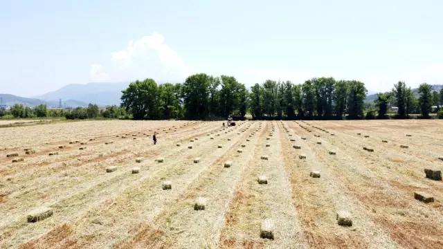 Asgari ücretle çalışırken kendi işlerinin patronu oldular! Bu yılki ciro hedefleri 2 milyon TL Asgari ücretle çalışırken kendi işlerinin patronu oldular! Bu yılki ciro hedefleri 2 milyon TL