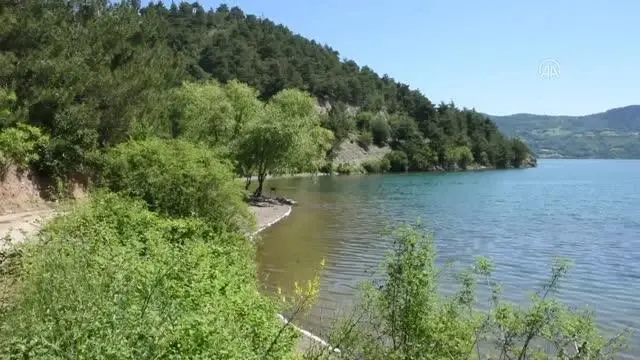 Son dakika haberleri... Bafra'da arkadaşlar arasında çıkan kavgada 3 kişi hayatını kaybetti Son dakika haberleri... Bafra'da arkadaşlar arasında çıkan kavgada 3 kişi hayatını kaybetti