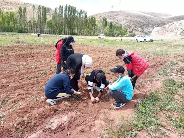 Son dakika haberleri! Bayburt'ta yaşlılar ve çocuklar bir araya gelip toprağa hayat verdi Son dakika haberleri! Bayburt'ta yaşlılar ve çocuklar bir araya gelip toprağa hayat verdi