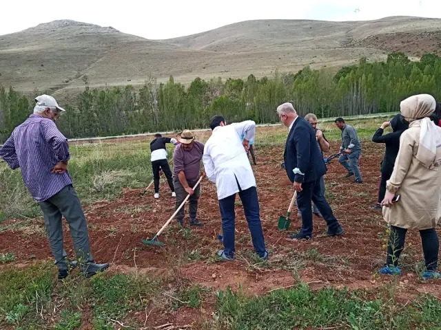 Son dakika haberleri! Bayburt'ta yaşlılar ve çocuklar bir araya gelip toprağa hayat verdi Son dakika haberleri! Bayburt'ta yaşlılar ve çocuklar bir araya gelip toprağa hayat verdi