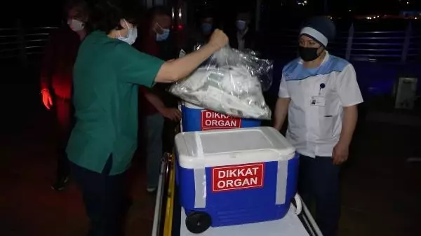 Son dakika haberleri: BEYİN ÖLÜMÜ GERÇEKLEŞEN KADININ ORGANLARI 7 HASTAYA UMUT OLDU Son dakika haberleri: BEYİN ÖLÜMÜ GERÇEKLEŞEN KADININ ORGANLARI 7 HASTAYA UMUT OLDU