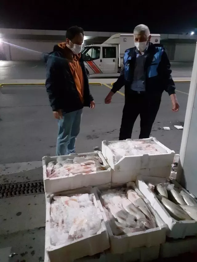 Beylikdüzü'nde yasak avlanma dönemi denetimi Beylikdüzü'nde yasak avlanma dönemi denetimi
