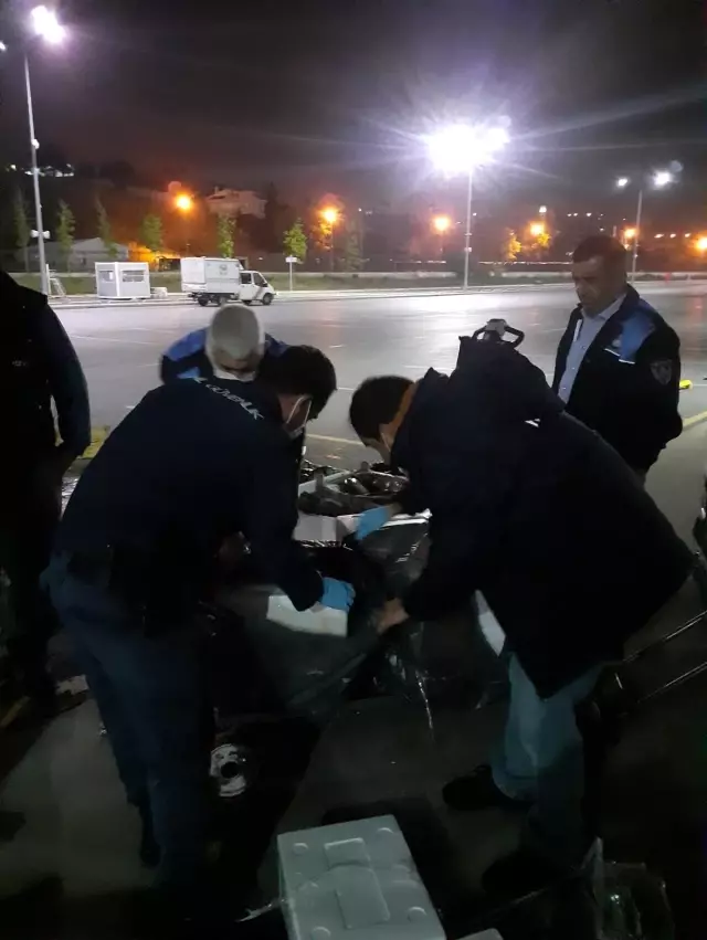 Beylikdüzü'nde yasak avlanma dönemi denetimi Beylikdüzü'nde yasak avlanma dönemi denetimi