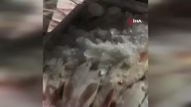 Beylikdüzü'nde yasak avlanma dönemi denetimi Beylikdüzü'nde yasak avlanma dönemi denetimi